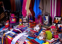 rufus tailed hummingbird